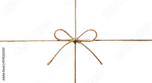 Rustic twine bow tied on gift wrapping strings isolated on transparent background