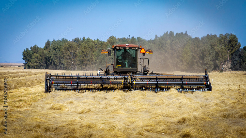 Fototapeta premium Farming equipment harvesting