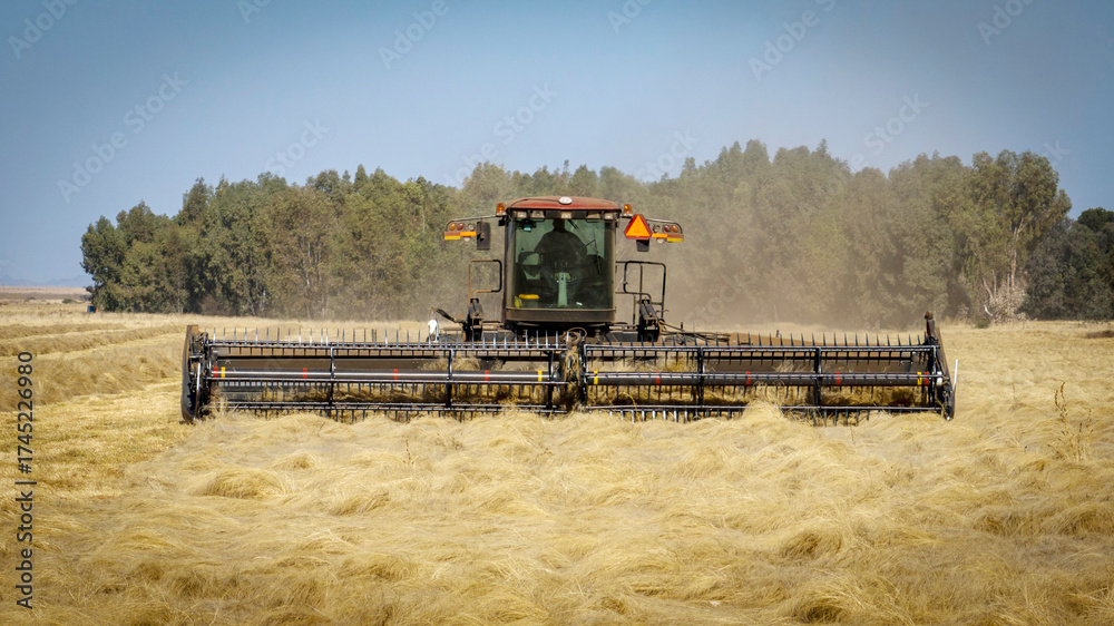 Fototapeta premium Farming equipment harvesting