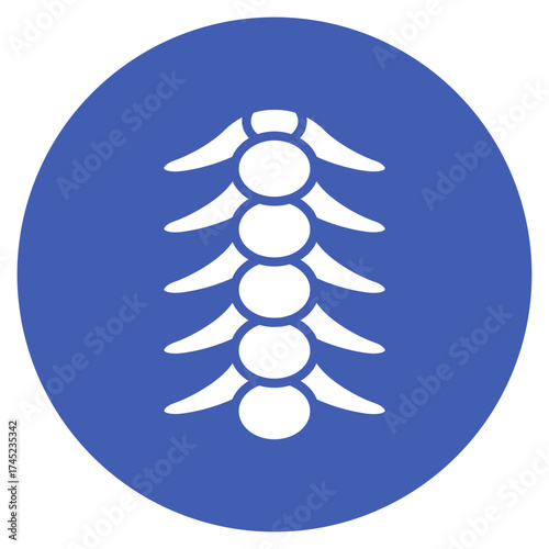 Spinal Cord icon vector image. Can be used for Human Anatomy.