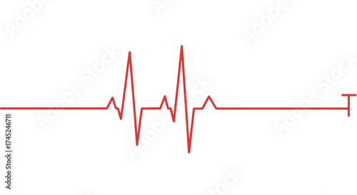 Red Electrocardiogram Line Medical Heartbeat Signal Representing Life and Vitality
