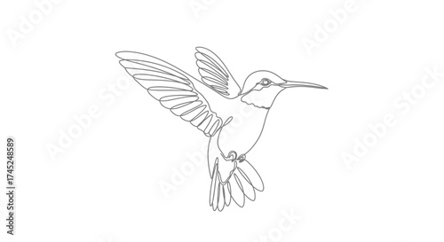 Detailed single line art drawing of a hummingbird in flight with wings spread against a white background, showcasing its graceful form.