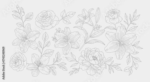 Elegant pencil sketch of various flowers and leaves, showcasing intricate details and delicate lines.