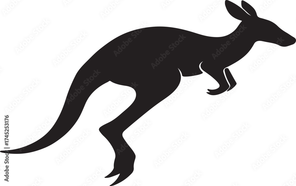 Fototapeta premium kangaroo vector illustration