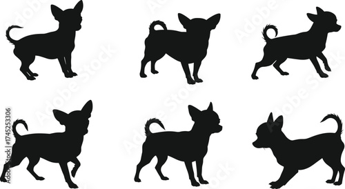 Chihuahua dog silhouette vector illustration, small pet design, black puppy artwork, domestic animal graphic, cute toy breed image, canine posture drawing