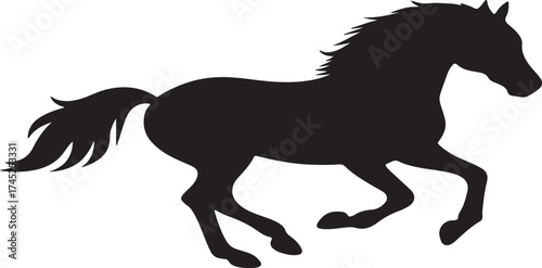 horse vector illustration
