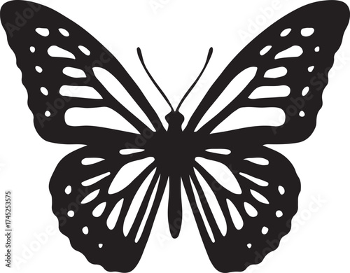 butterfly on white background