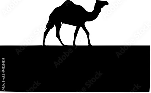 Walking Dromedary Camel Black Silhouette Vector Icon