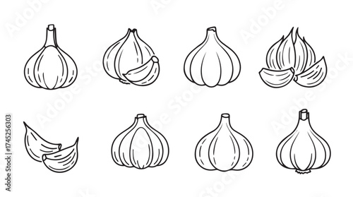 Hand drawn sketch collection of fresh garlic bulbs and cloves artistic culinary elements vector