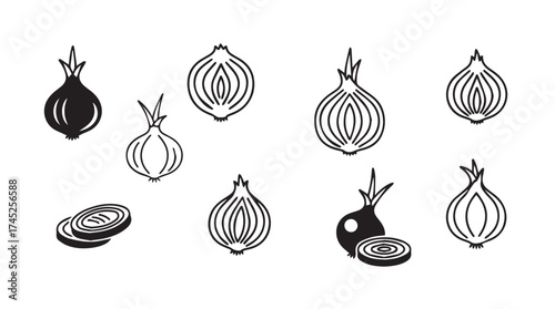 Hand drawn onion set fresh organic allium vegetable ingredient food cooking culinary vector