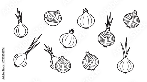Hand drawn sketch of various fresh onions and shallots scattered on a white surface vector