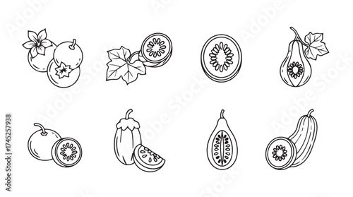 Hand drawn sketch collection of fresh fruits and vegetables isolated on vector