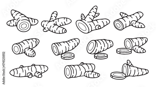 Collection of hand-drawn ginger root elements culinary spice organic root vegetable ingredient isolated line art vector