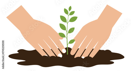 Hands gently nurturing a young plant seedling in fertile soil