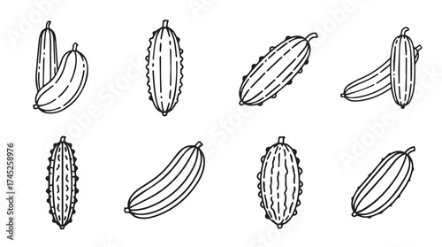 Collection of hand drawn sketch style cucumbers in various poses and angles vector