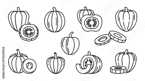 Hand drawn pumpkin and squash collection various shapes and slices for autumn harvest designs vector