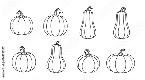 Collection of hand drawn autumn pumpkins and gourds line art for harvest season design vector
