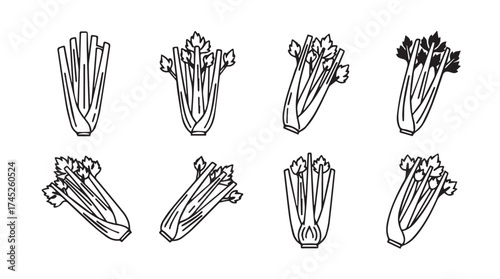 Collection of hand-drawn celery stalks in various poses for fresh healthy food design vector