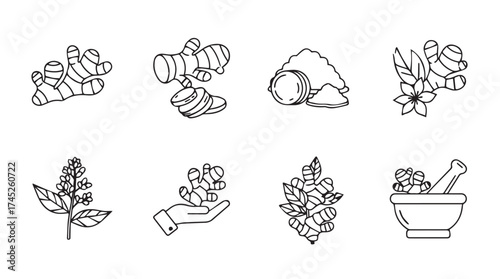 Collection of hand drawn herbal ingredients and preparation tools for culinary and medicinal uses vector