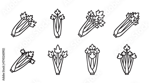 Collection of hand drawn celery stalks in different angles for healthy food design vector
