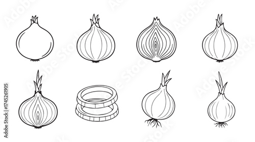 Hand drawn onion variety collection sketch botanical ingredient food art fresh organic vegetables vector