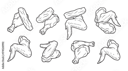 Collection of chicken wings in various poses hand drawn sketch style food art vector