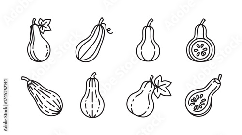 Collection of hand drawn decorative gourds and squashes isolated for autumn harvest and halloween designs vector