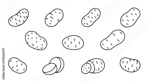 Variety of hand drawn potatoes depicting different angles and slices for culinary use vector