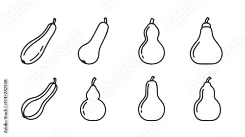 Diverse gourd varieties collection artistic hand-drawn outline decorative shapes set vector