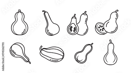Hand drawn sketch collection of various squash and gourd varieties and shapes vector