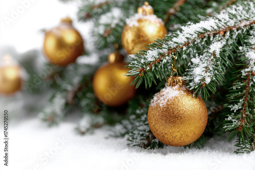 Green fir tree branch with snow and golden baubles background