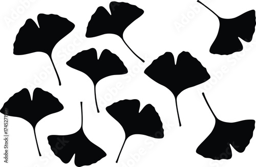 Ginkgo leaf silhouette vector, botanical black foliage set, scattered leaf shapes, nature plant illustration, herbal design elements, biloba leaf collection