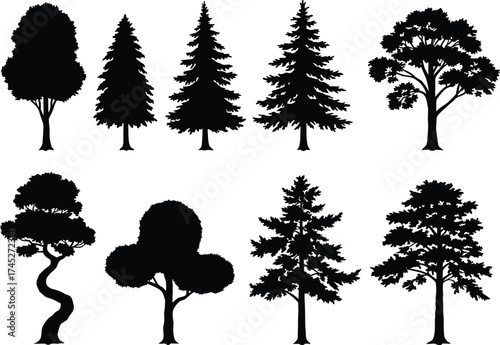 Tree silhouette collection, diverse foliage shapes, black vector trees, nature icons, botanical design elements, forest illustration set, editable tree graphics, landscape assets