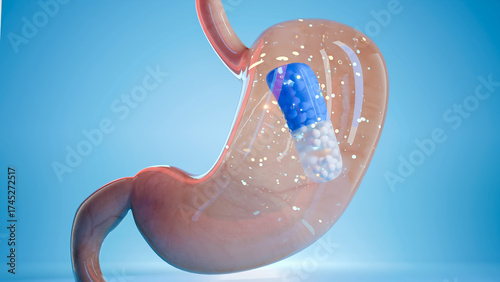 Capsule pill inside human stomach showing digestion process, medicine treatment, pharmaceutical therapy, healthcare, drug absorption, medical cure, stomach medication, digestive system, 3d render