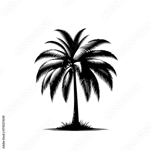 Exotic Tropical Beach Palm Tree Vector Illustration
