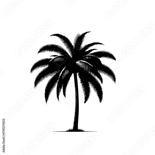 Tropical Island Coconut Palm Tree Vector Illustration