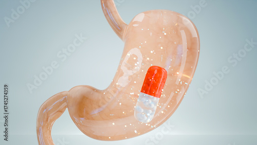 Schilderij op canvas Capsule pill inside human stomach showing digestion process, medicine treatment,