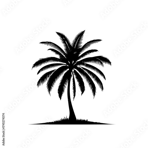 Tropical Beach Coconut Palm Tree Vector Art