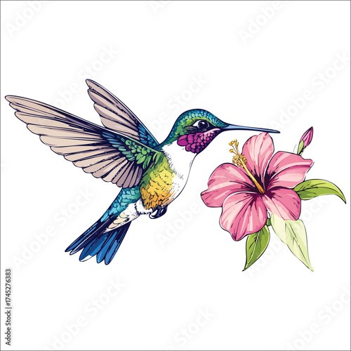 Vibrant hummingbird hovering near a blooming flower