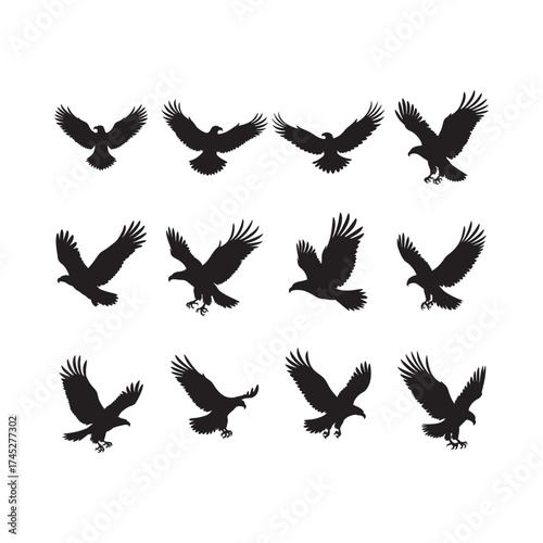 A set of silhouette of flying eagle black vector on white background