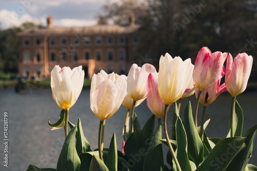湖の近くにある建物と花
