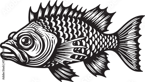 Detailed vintage fish illustration with intricate scales and fins, perfect for marine-themed designs or nautical promotions with a classic feel