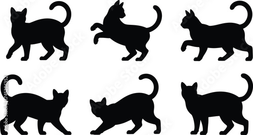 Six black cat silhouettes on a white background various poses