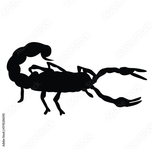 Cute cartoon hand drawn vector Scorpion silhouette.