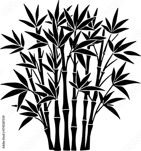 bamboo vector illustration