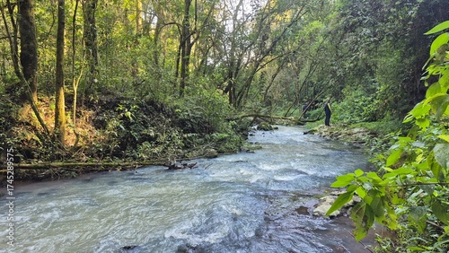 Waterfalls and rivers in the Amazon rainforest

