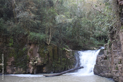 Waterfalls and rivers in the Amazon rainforest
