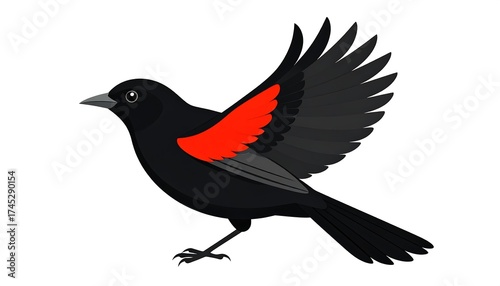 Illustration of a red-winged blackbird in flight.  Black bird with bright red wing patches, against a white background.  Detailed cartoon-style drawing.  Profile view