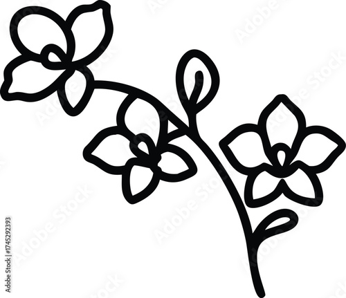 Floral line art drawing of orchid flowers vector illustration design eps silhouette