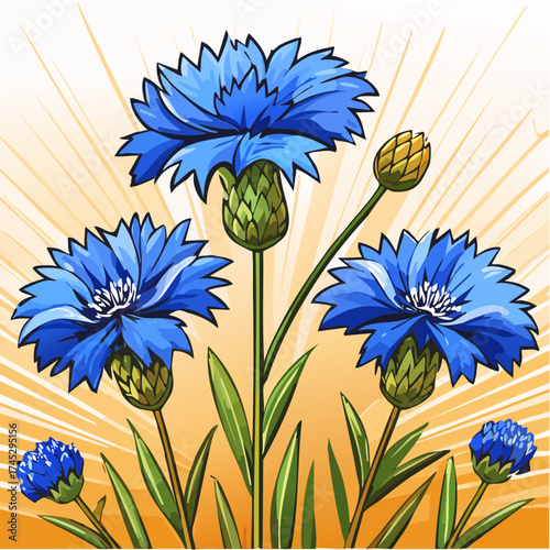 Hintergrund blaue Kornblumen